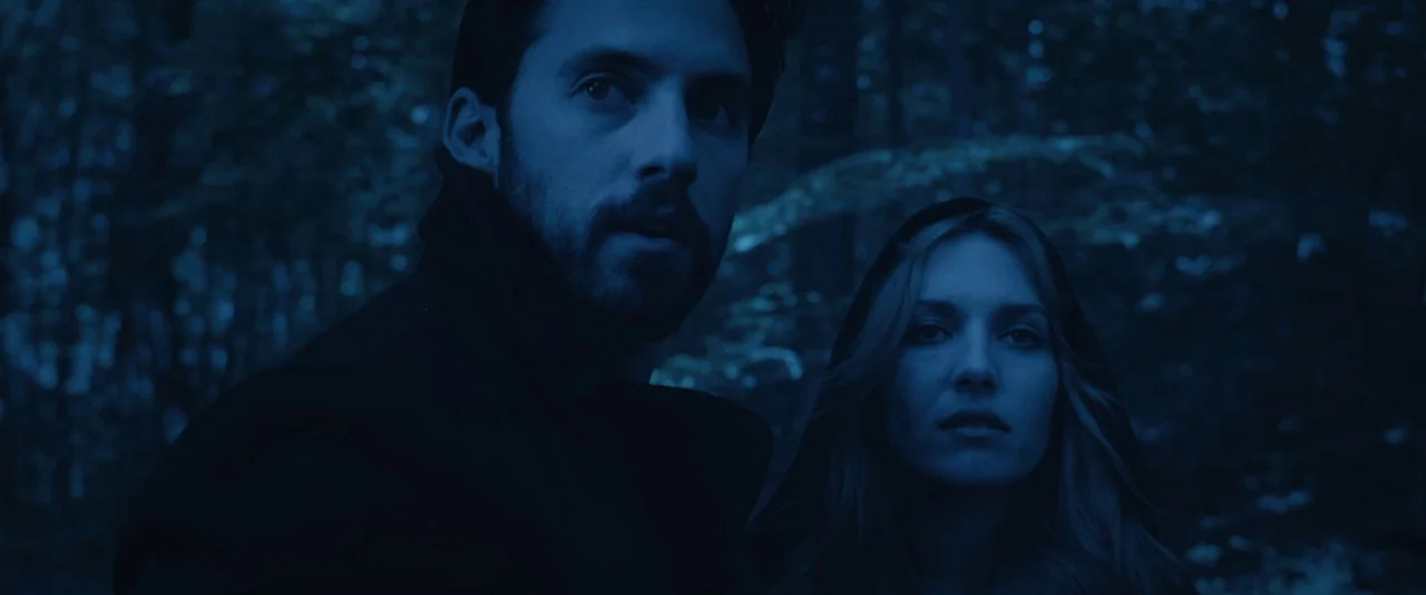Kiss of the Damned (2012) movie still: medium — A dark, dense woodland area with tree trunks barely visible in the deep gloom. A man and a woman…