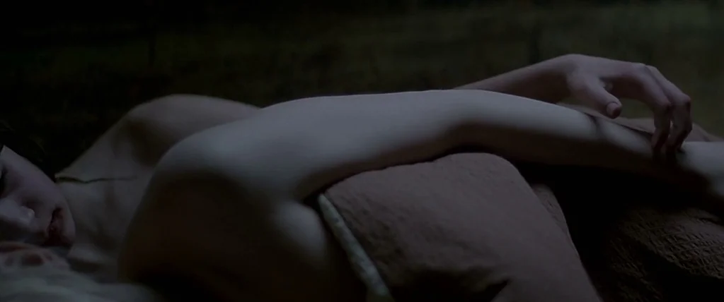 Let The Right One In (2008) movie still: closeup — A dark space features a person lying horizontally against a textured brown textile surface. The…
