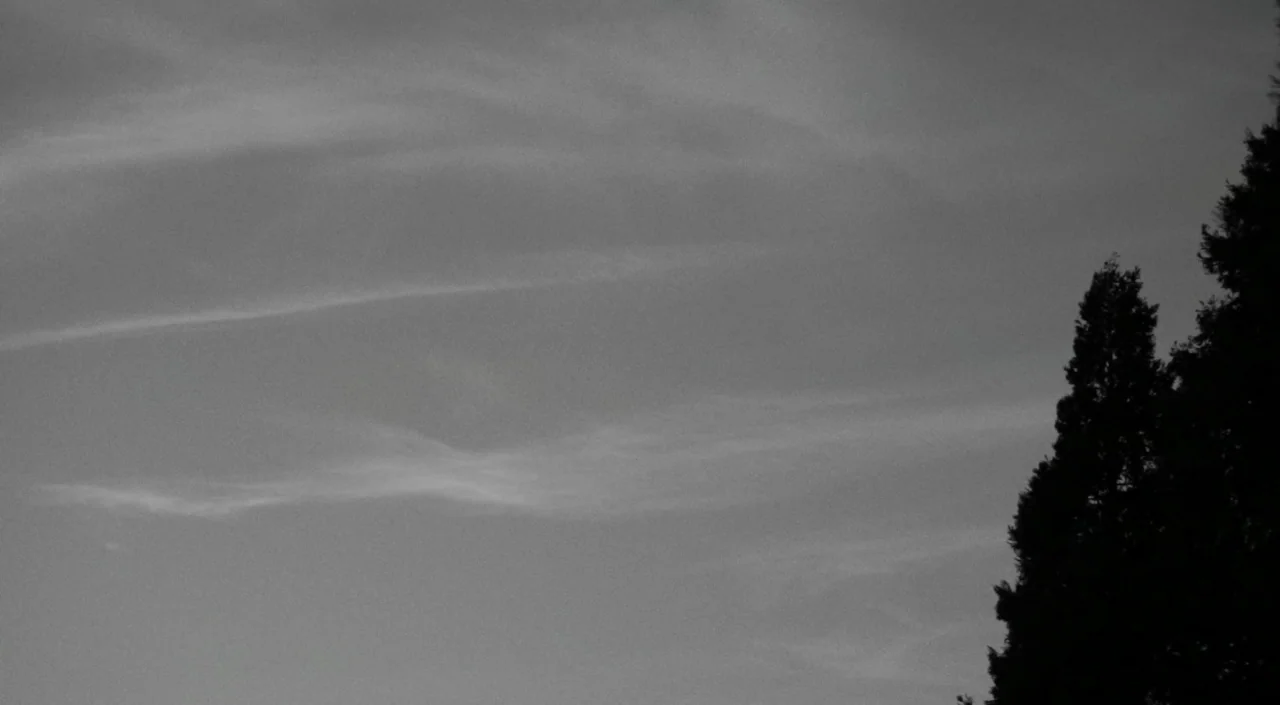 Blue Jay (2016) movie still: establishing — A vast sky is filled with light, wispy cloud formations during the daytime. Dark silhouettes of…