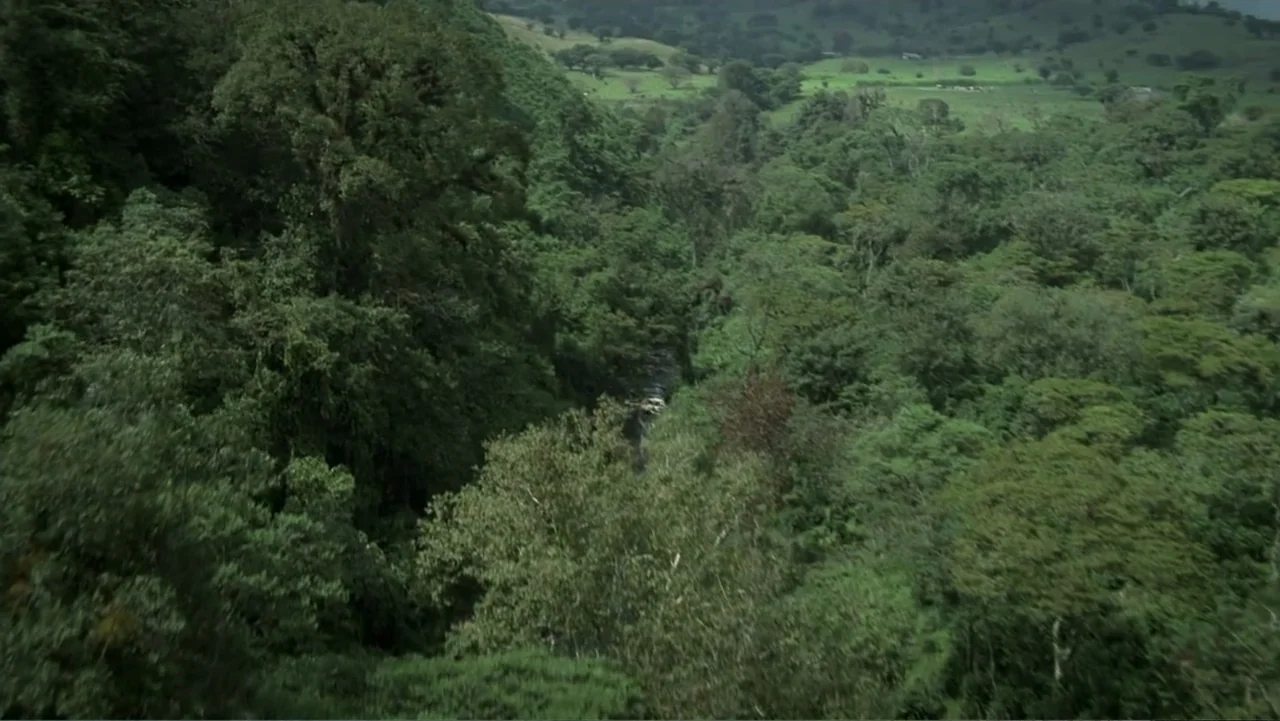 Empire Queen: The Golden Age of Magic (2024) movie still: establishing — A dense green jungle stretches across rolling hills under a cloudy overcast…