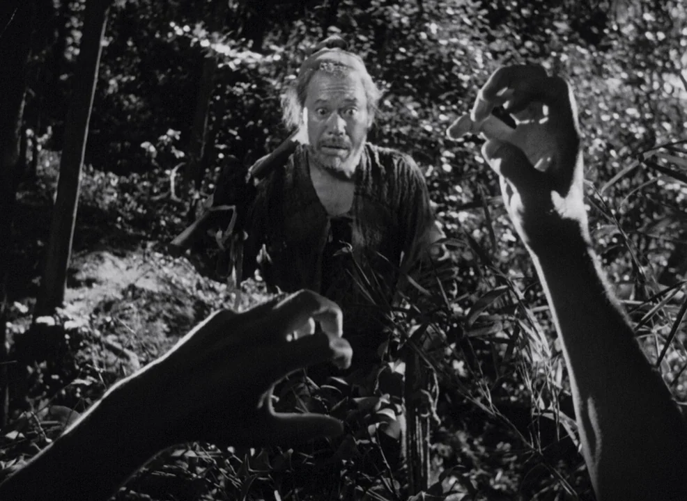 Rashomon (1950) movie still: medium — A dense bamboo grove with bright sunlight piercing through the leaves and thick foliage. A man stands between…