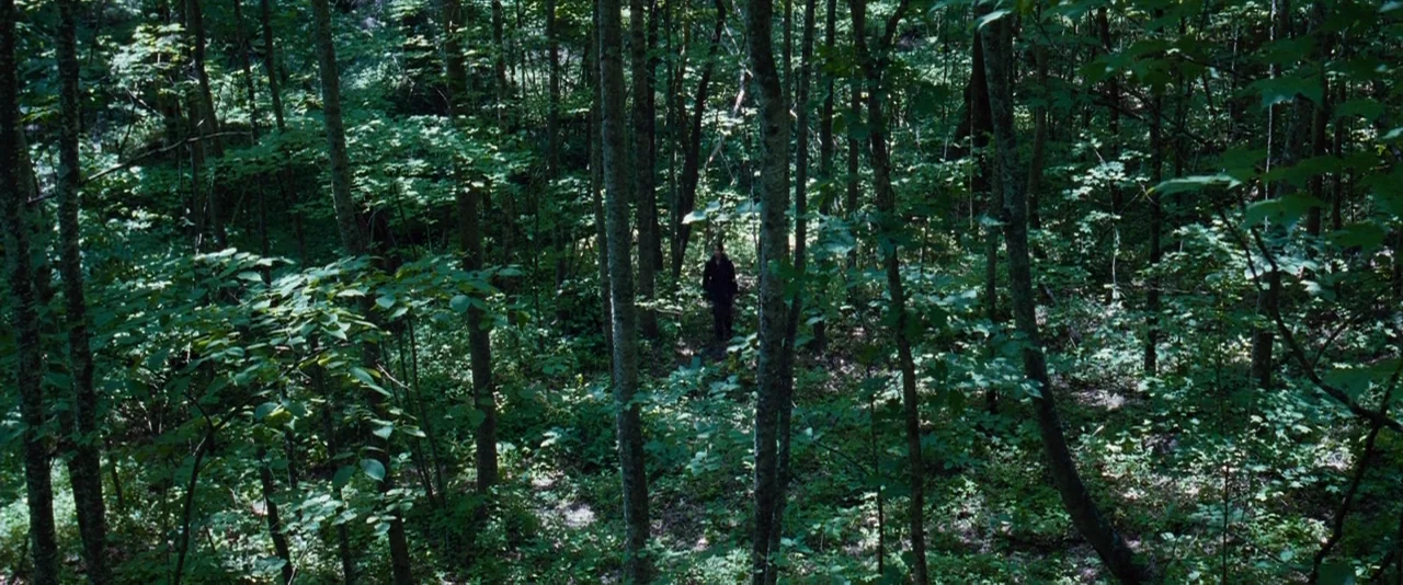 The Hunger Games (2012) movie still: wide — A dense woodland environment is filled with thin, upright deciduous trees and green undergrowth. A lone…