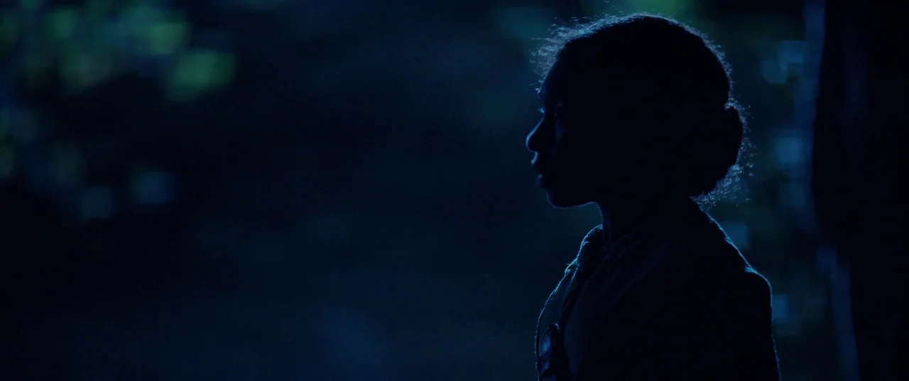 Harriet movie still: medium — A dark outdoor setting at night with out-of-focus foliage in the background. A young girl is seen in silhouette…