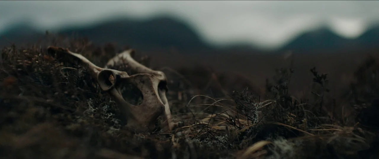 Out of Darkness (2022) movie still: closeup — A weathered, partially buried animal pelvis lies on a rugged, mossy moorland ground. The background…
