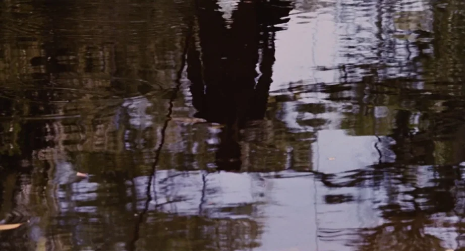 Jurassic Park (1993) movie still: wide — A dark, still pond displays distorted reflections of trees and the sky. The water surface has soft…