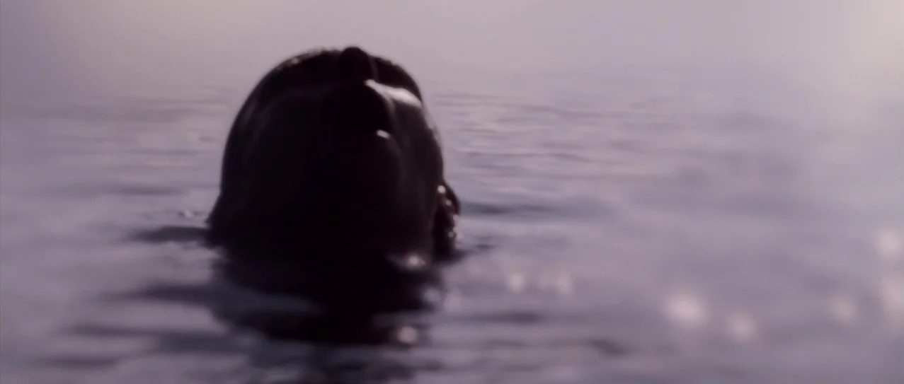 Vanishing Waves (2012) movie still: closeup — An expanse of calm, light-grey water fills the frame beneath a hazy horizon. A lone, dark silhouette…