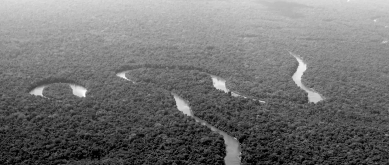 Embrace Of The Serpent (2015) movie still: establishing — An aerial view captures a river winding through a dense, unbroken canopy of trees. The…