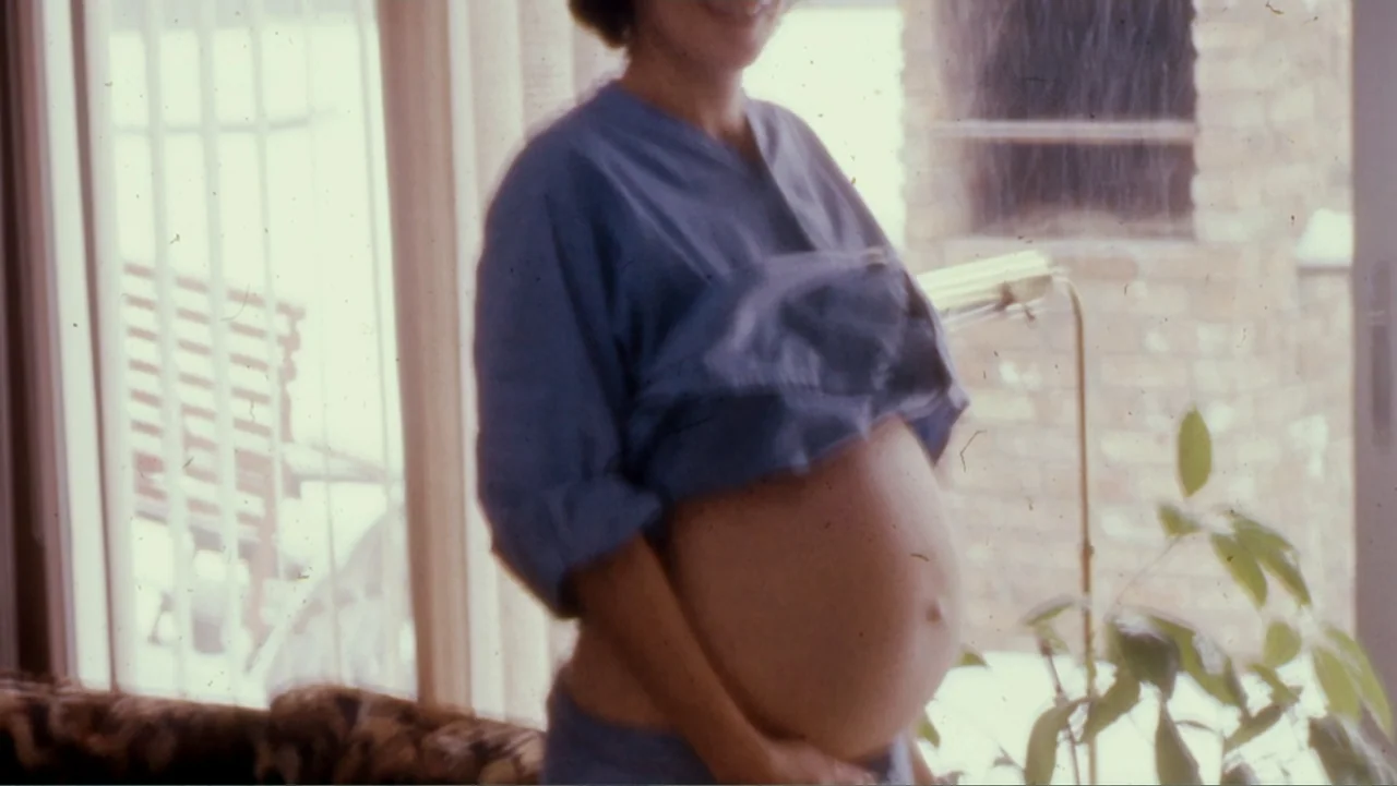 Little White Lie (2008) movie still: medium — A sunlit room features a floor-to-ceiling window looking out onto a bright exterior space. A pregnant…