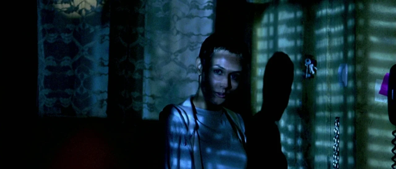Haute Tension (2003) movie still: medium — A dark indoor space features a wall with horizontal blind patterns cast by light. A woman with short dark…