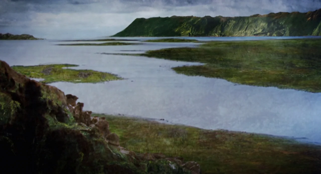 Adaptation (2002) movie still: establishing — A vast shallow lake features patches of green marshland under a heavy grey sky. Distant mountains rise…