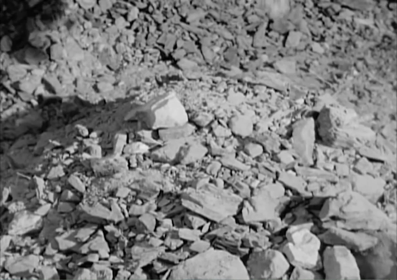 Creature from the Black Lagoon (1954) movie still: establishing — A field of broken stones and jagged rock fragments covering uneven ground. The…