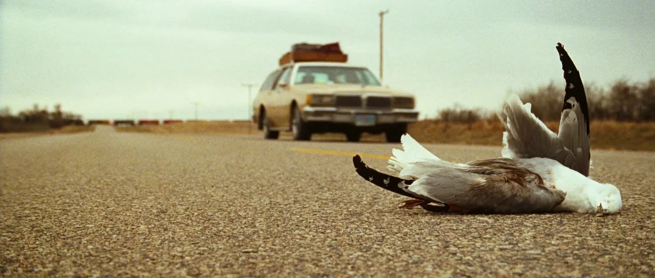Surveillance (2008) movie still: wide — An asphalt road stretches into the distance under an overcast, grey sky. A deceased seagull lies in the…