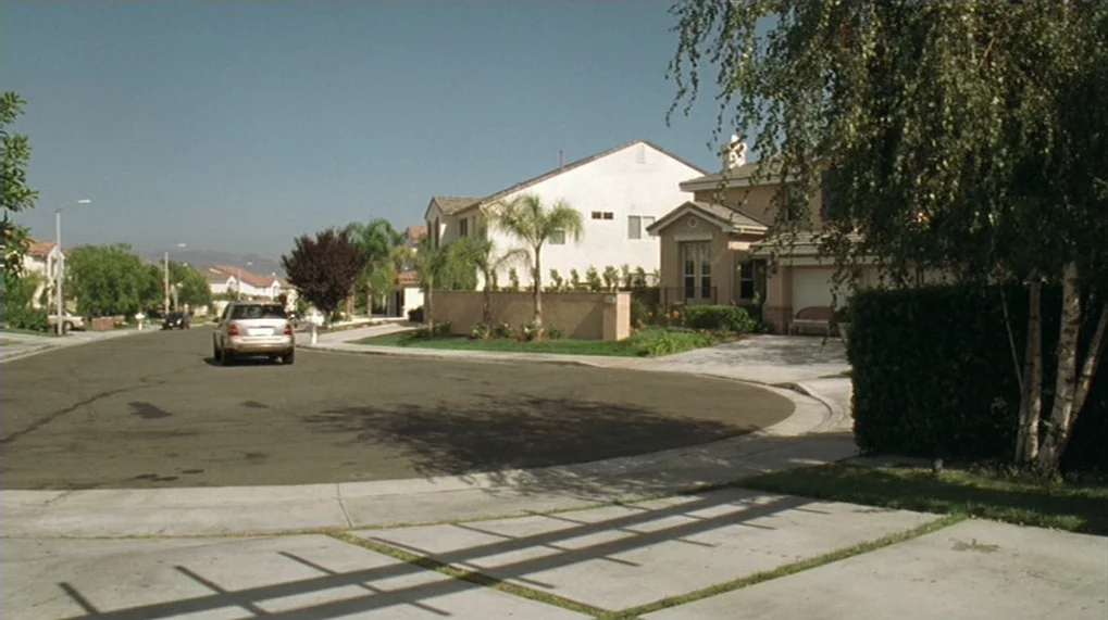 Year Of The Dog (2007) movie still: establishing — A suburban cul-de-sac features beige two-story houses and manicured lawns under a clear sky. A…