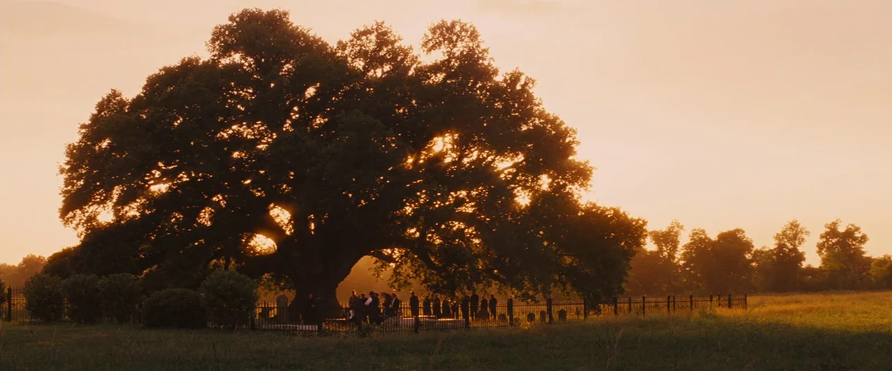 Django Unchained (2012) movie still: wide — A rural cemetery features a large sprawling oak tree and a perimeter iron fence. A small group of people…