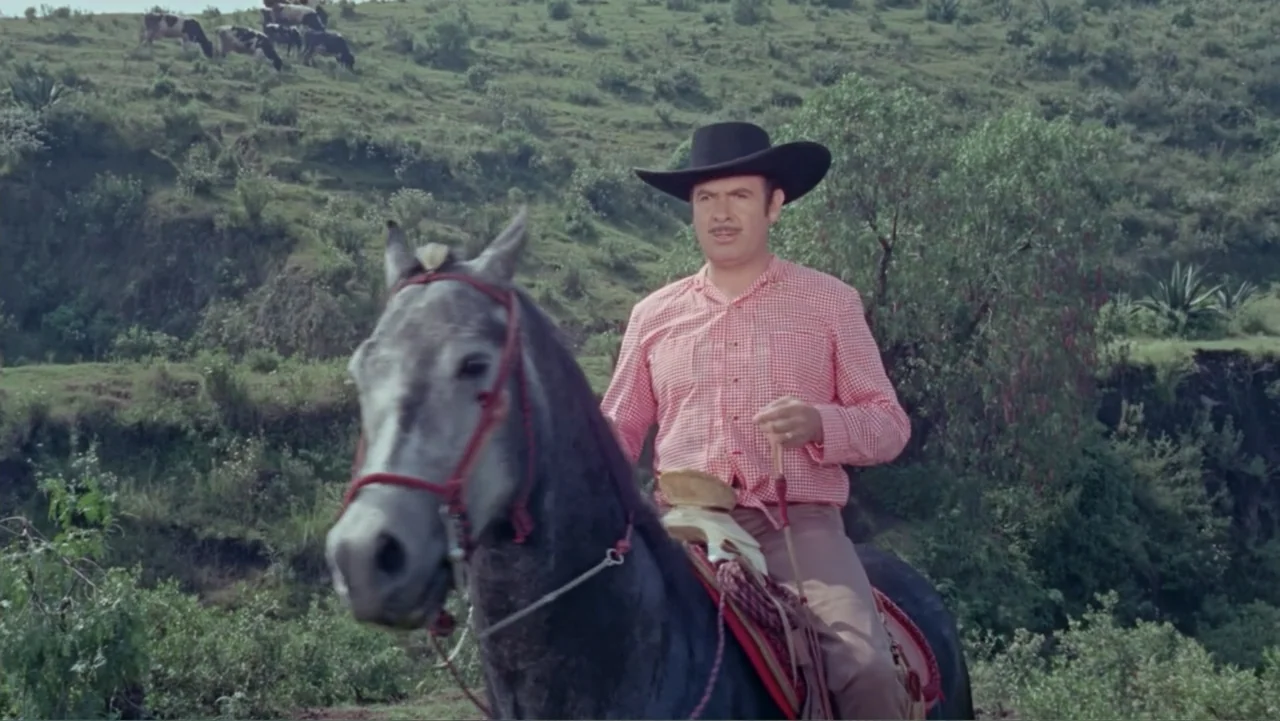 Los Dos Rivales (1966) movie still: medium — A green, rolling grassy hillside with a few grazing cows in the background. A man wearing a cowboy hat…