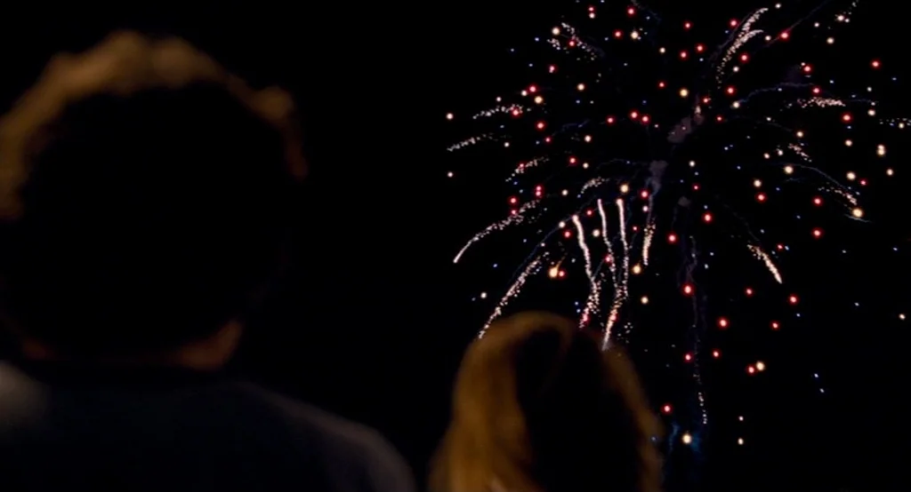 Adventureland (2009) movie still: medium — A dark night setting viewed from behind two figures in the foreground. A large multicolored firework…
