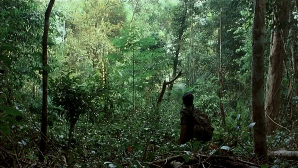 Tropical Malady (2004) movie still: wide — A dense, overgrown tropical jungle filled with thick foliage and tall tree trunks. A person with a large…