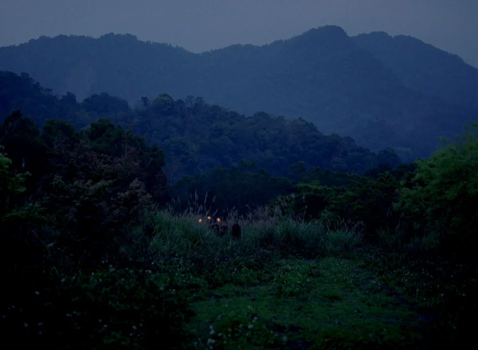 The Assassin (2015) movie still: wide — A dark mountainous landscape with dense foliage and tall grasses under a night sky. Distant faint light…