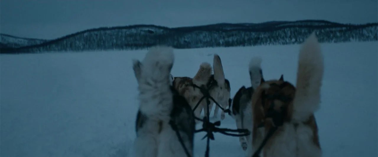 Sardar Udham (2021) movie still: medium — A vast, snow-covered arctic plain extends toward a distant treeline under a dim sky. A team of sled dogs…