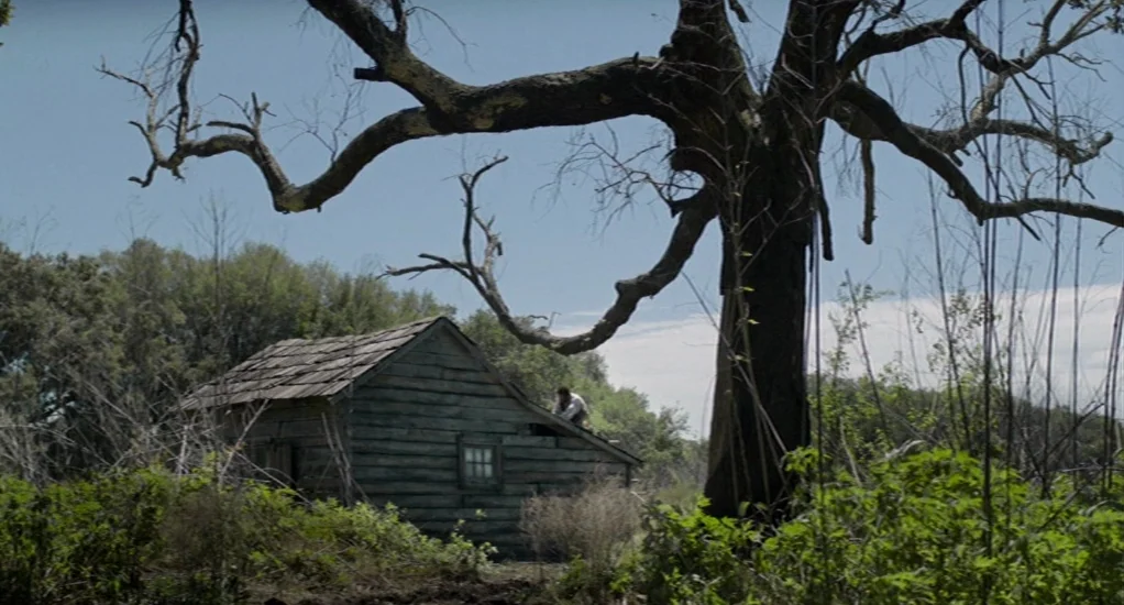 Free State of Jones (2016) movie still: wide — A rustic, weathered wooden cabin with a shingled roof sits in an overgrown field. A single man is…