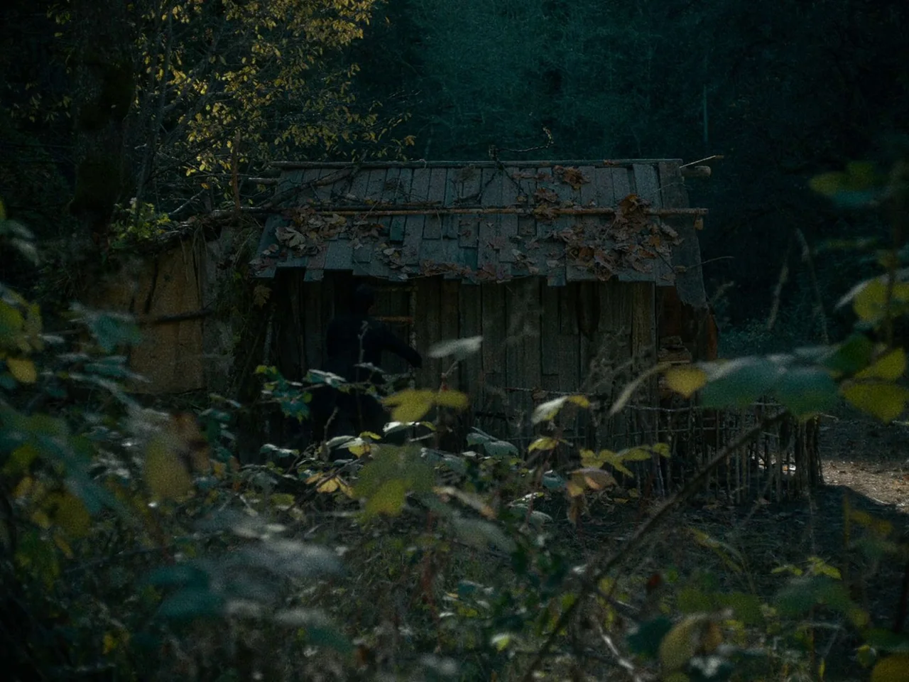 First Cow (2019) movie still: wide — A small wooden hut stands in a dense, dark woodland area with fallen leaves. A lone figure stands near the open…