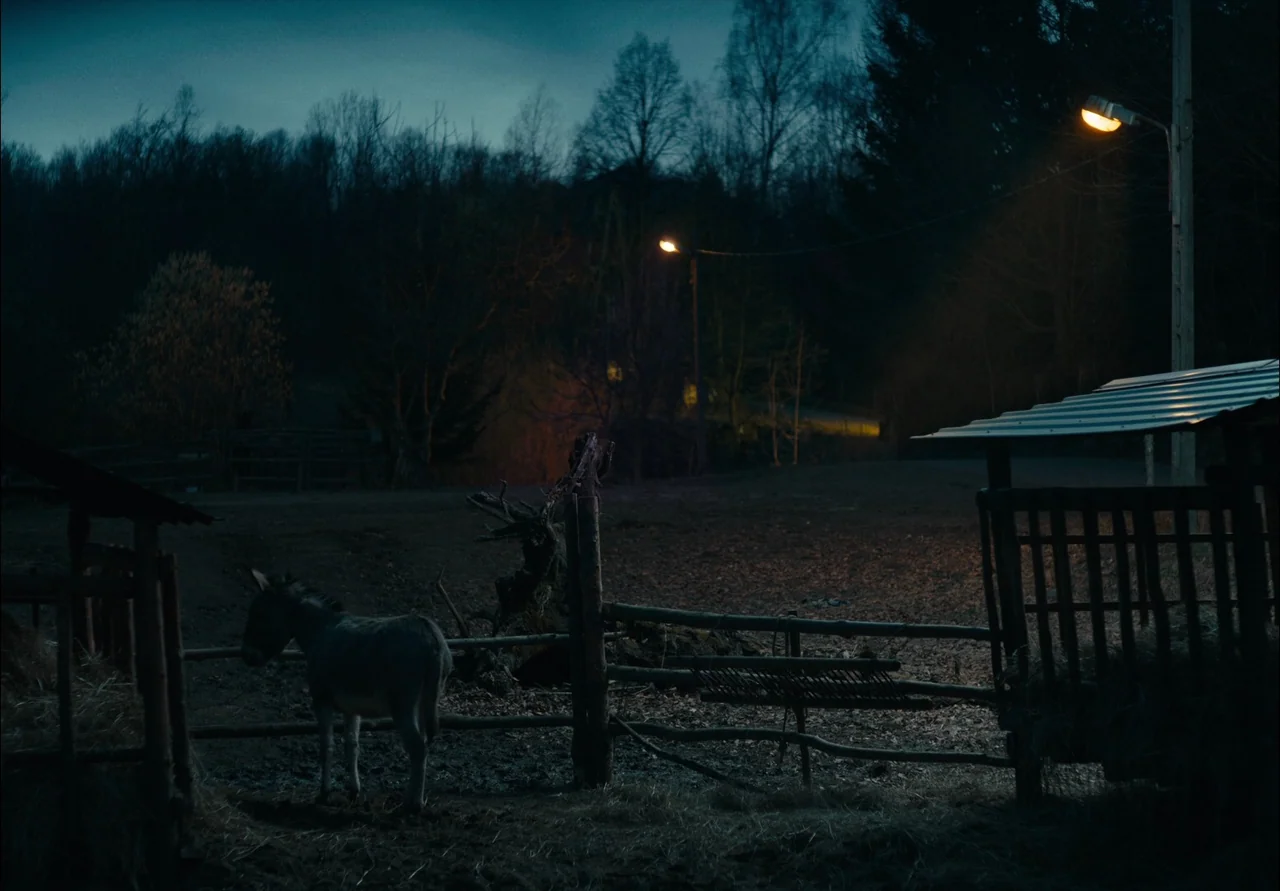 EO (2022) movie still: wide — A dark rural pasture at night features a wooden fence and an animal feeding rack. A lone donkey stands near the fence…