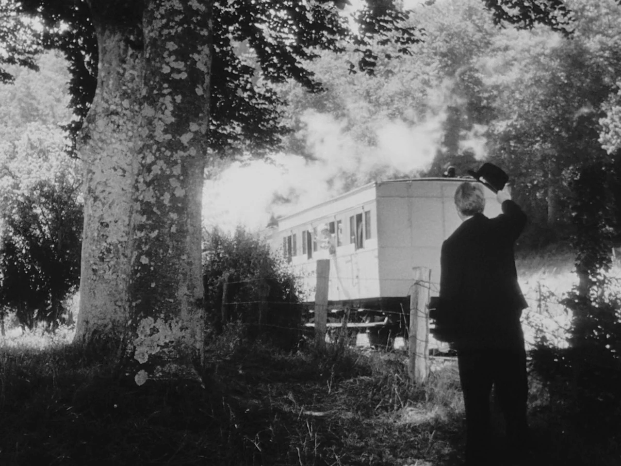 Le Plaisir (1952) movie still: fullbody — A rural landscape features a large tree in the foreground and a steam train. A man stands by a wooden…