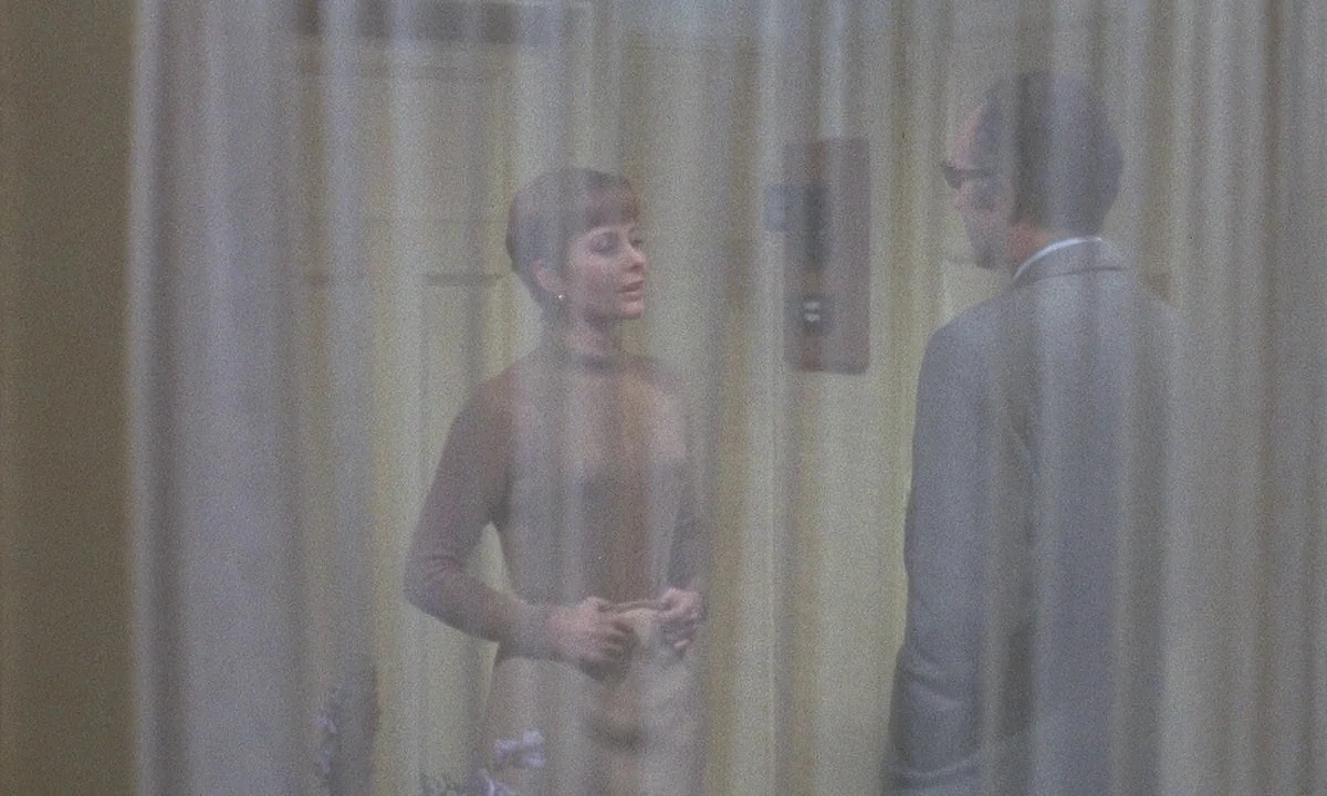 Belle De Jour (1967) movie still: medium — A man and woman interact inside a room viewed through a semi-transparent white curtain. The subjects…