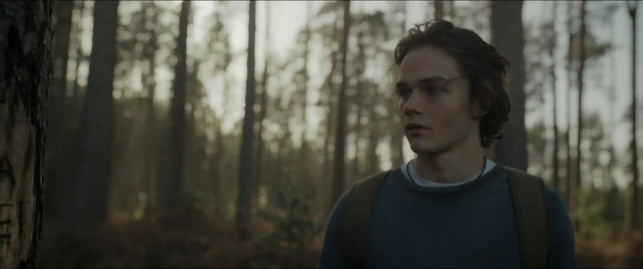Kraven the Hunter (2024) movie still: medium — A dense pine woodland with tall trees and dappled light hitting the ground. A young man stands in the…