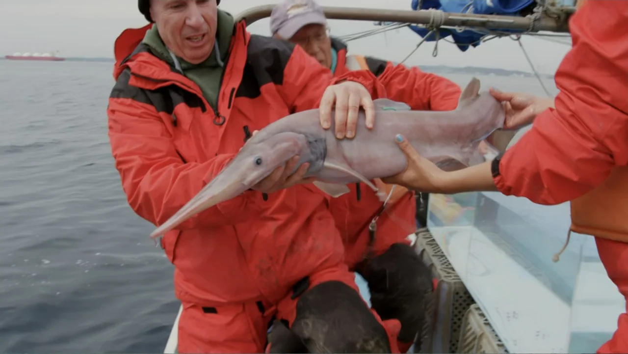 Shark Week: Off the Hook (2023) movie still: medium — Two men on a boat deck handle a strange deep-sea specimen near water. They wear identical red…