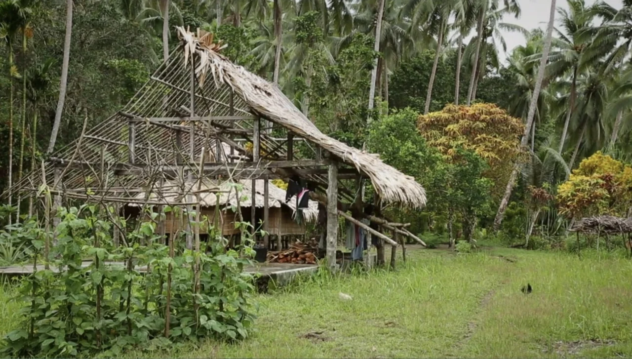 Islands of Creation (2015) movie still: wide — A wooden hut with a thatched roof stands in a lush tropical palm grove. The structure appears…