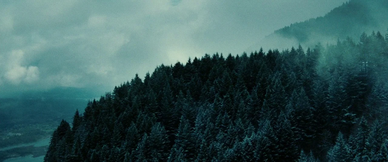 Twilight (2008) movie still: establishing — A dense coniferous forest covers a mountainside under a heavy overcast sky. Fog banks drift between the…