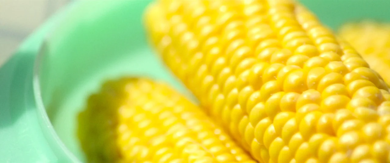 The House That Jack Built (2018) movie still: closeup — Two ears of yellow corn rest on a shallow, light-green ceramic plate. The texture of the…
