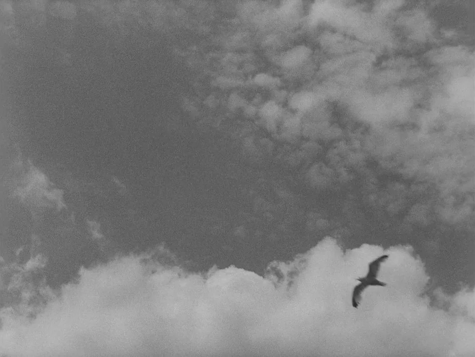A Ship Bound for India (1947) movie still: establishing — An expanse of cloudy sky fills the entire frame. A single bird flies from right to left…