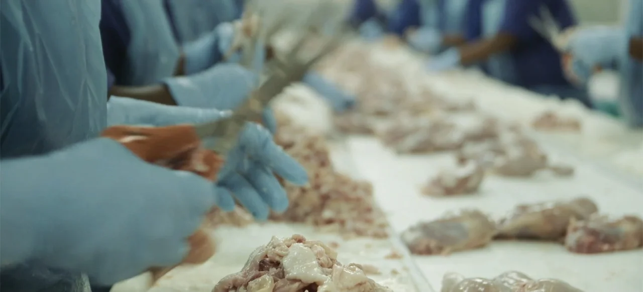10 Billion: What's On Your Plate (2015) movie still: medium — A sterile industrial processing line features a white table covered in raw chicken…