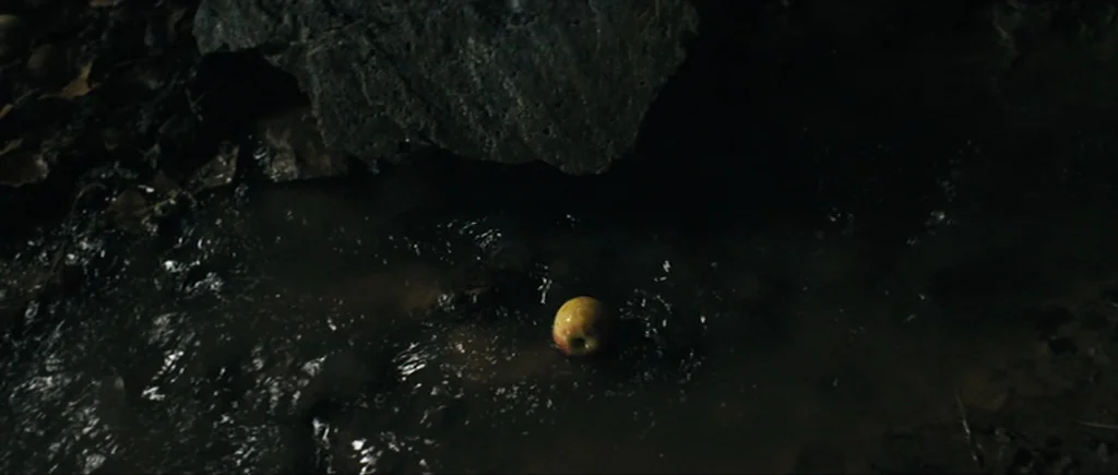 Once Upon a Time in Anatolia (2011) movie still: closeup — A solitary apple sits wedged against a dark stone in a shallow, murky stream. The water…