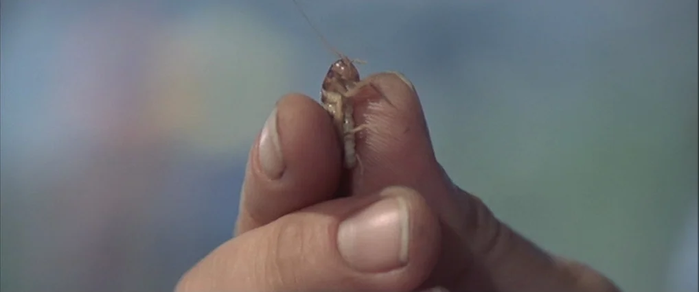 The Man Who Fell To Earth (1976) movie still: closeup — A person's fingers hold a small insect against a blurred, out-of-focus background. The skin…