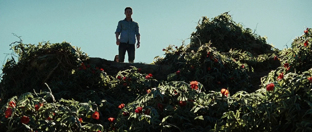 The Ruins (2008) movie still: fullbody — A field filled with green bushes and red blooming flowers under a clear sky. A man stands on a slight…