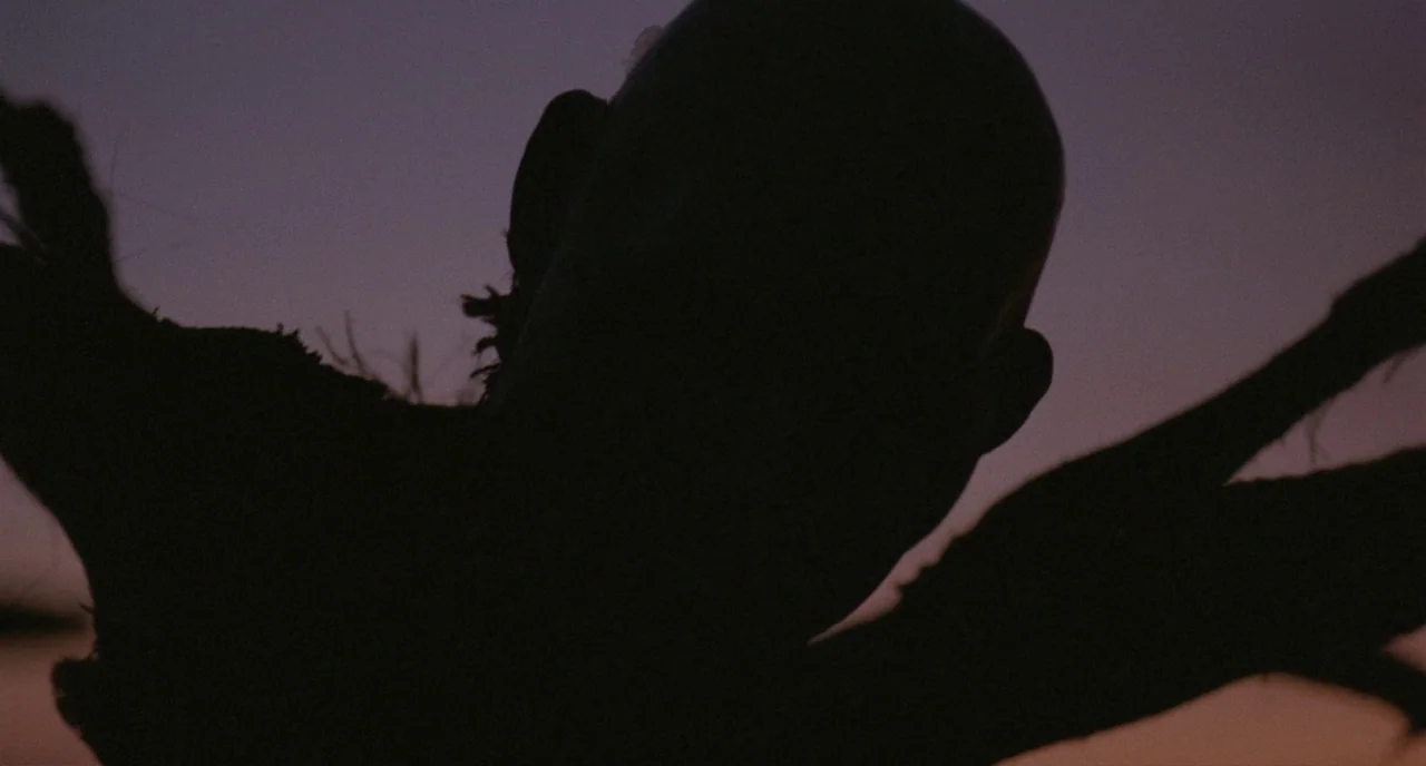 Possum (2018) movie still: closeup — An open landscape under a twilight sky with a dark silhouette in foreground. A figure stands with arms wide…