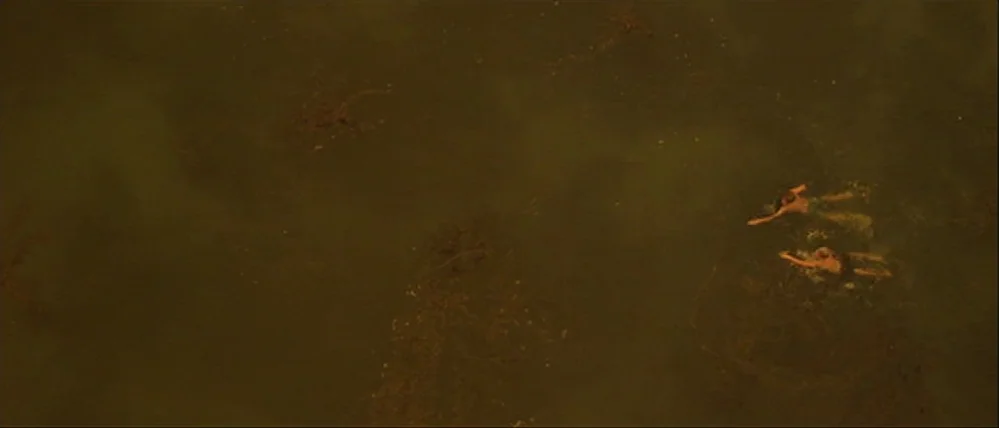 Gattaca (1997) movie still: establishing — A vast expanse of dark, murky water stretches across the frame. Two swimmers move slowly through the…