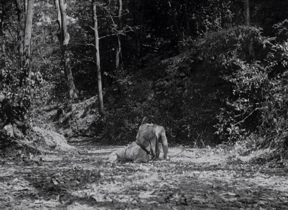 Rashomon (1950) movie still: wide — A dense woodland path is covered in fallen leaves and enclosed by thick trees. A man crawls slowly on the dirt…