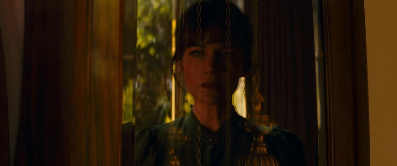 Elizabeth Harvest movie still: closeup — A woman stands behind a glass door with sheer curtains partially obscuring her face. Bright outdoor light…