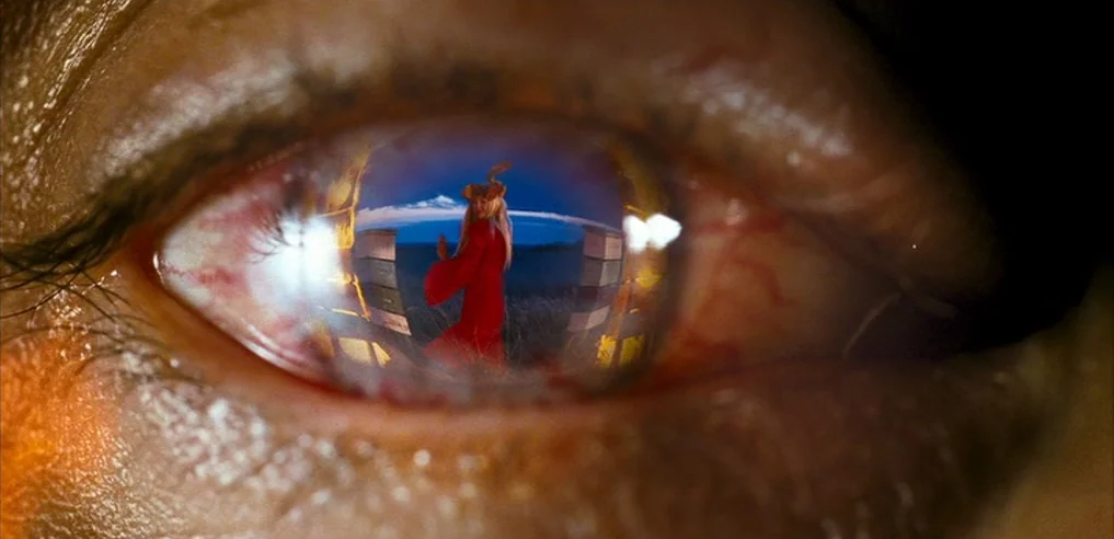 Tideland (2005) movie still: closeup — A close-up view shows a human eye reflecting a landscape scene. A woman wearing a bright red dress stands in…