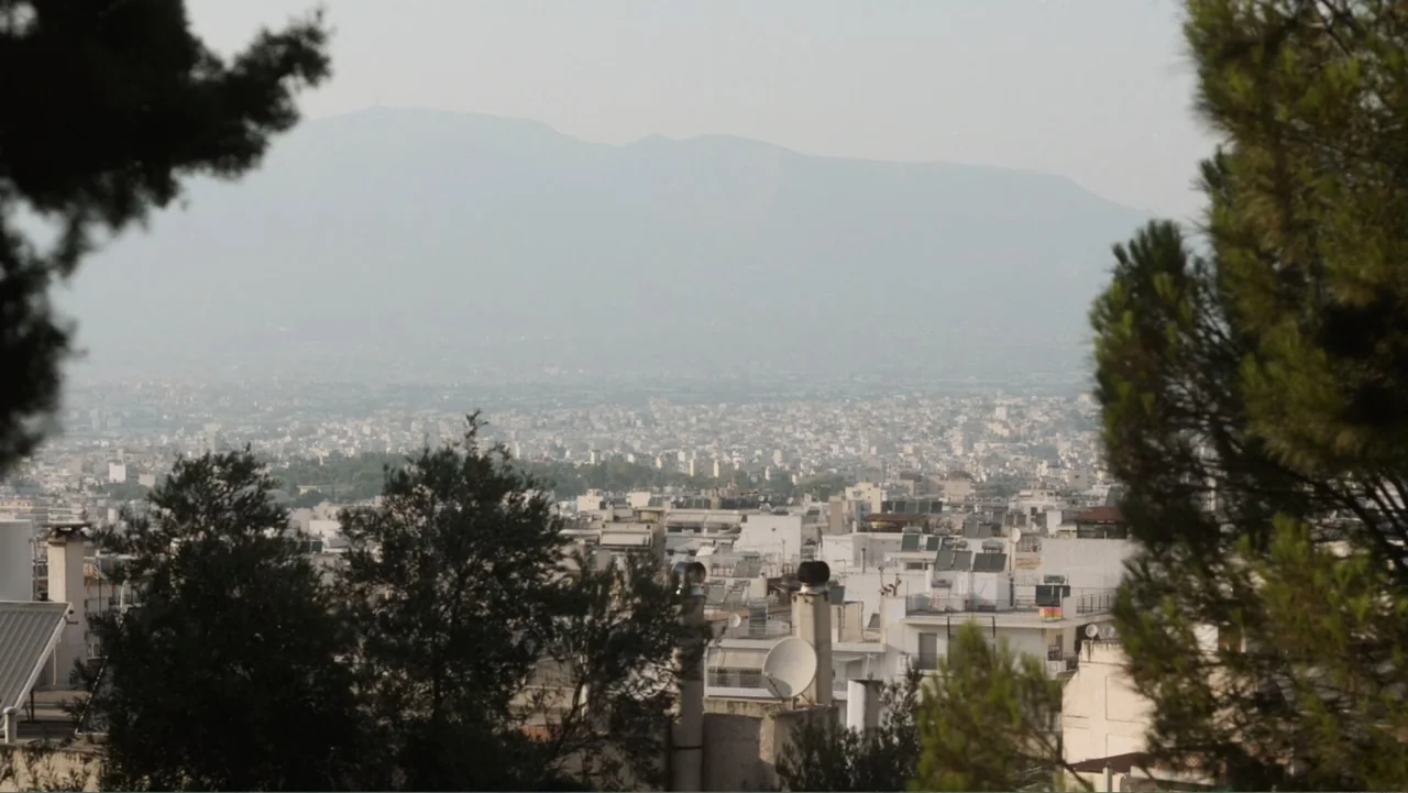Hot Milk (2025) movie still: establishing — A dense urban sprawl stretches toward distant mountains under a hazy light. Out-of-focus pine trees…