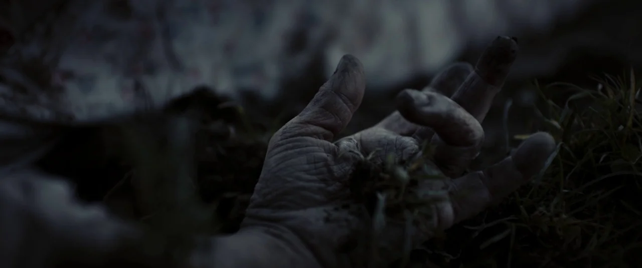 The Hole in the Ground (2019) movie still: closeup — A close-up of a human hand resting in dark earth and blades of grass. The skin is textured and…