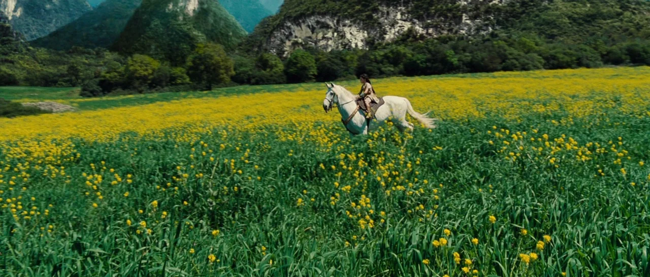Wonder Woman (2017) movie still: wide — A vast meadow filled with green grass and yellow wildflowers sits under mountainous terrain. A person rides…