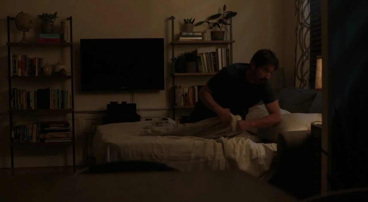 The Big Sick (2017) movie still: medium — An apartment bedroom contains two tall metal shelving units filled with books and plants. A man leans…