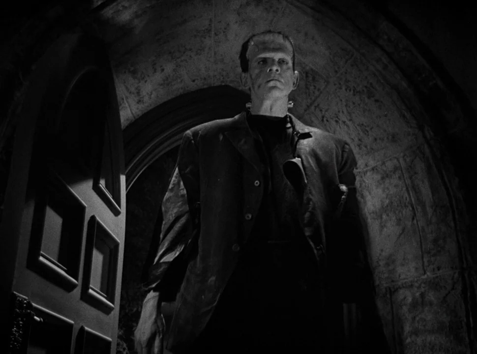 The Bride of Frankenstein (1935) movie still: medium — A dark, arched stone doorway frame leads into a dimly lit interior space. A tall, pale man…