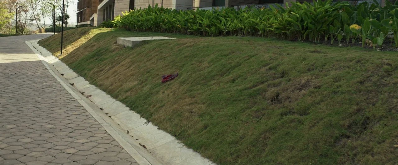 Férias Trocadas (2024) movie still: wide — A paved hexagonal walkway runs parallel to a sloped embankment of grass and foliage. A single piece of…