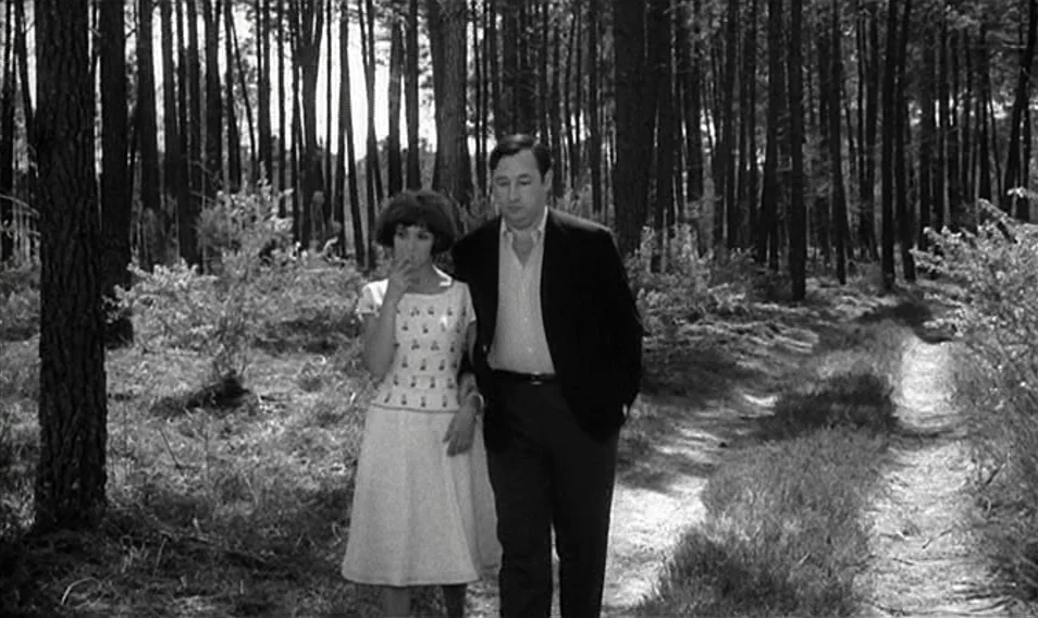 Thérèse Desqueyroux (1962) movie still: fullbody — A man and woman walk together on a dirt path in a pine grove. Numerous tall pine trunks fill the…